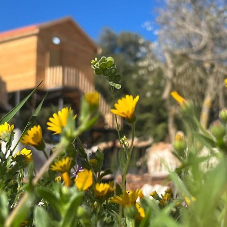 Evian Resort Ajloun Exterior photo