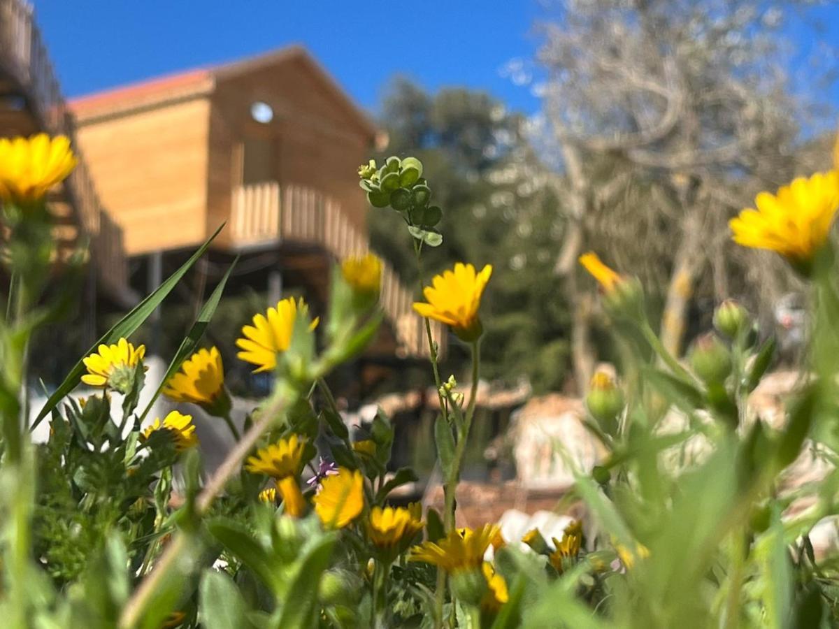 Evian Resort Ajloun Exterior photo